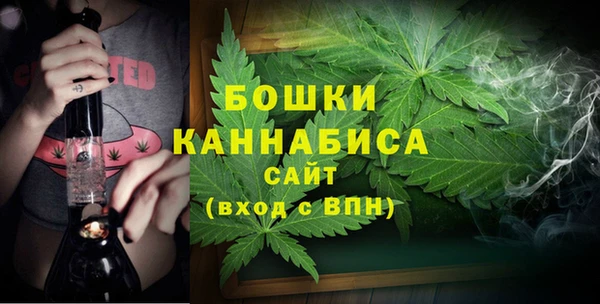 PSILOCYBIN Осинники